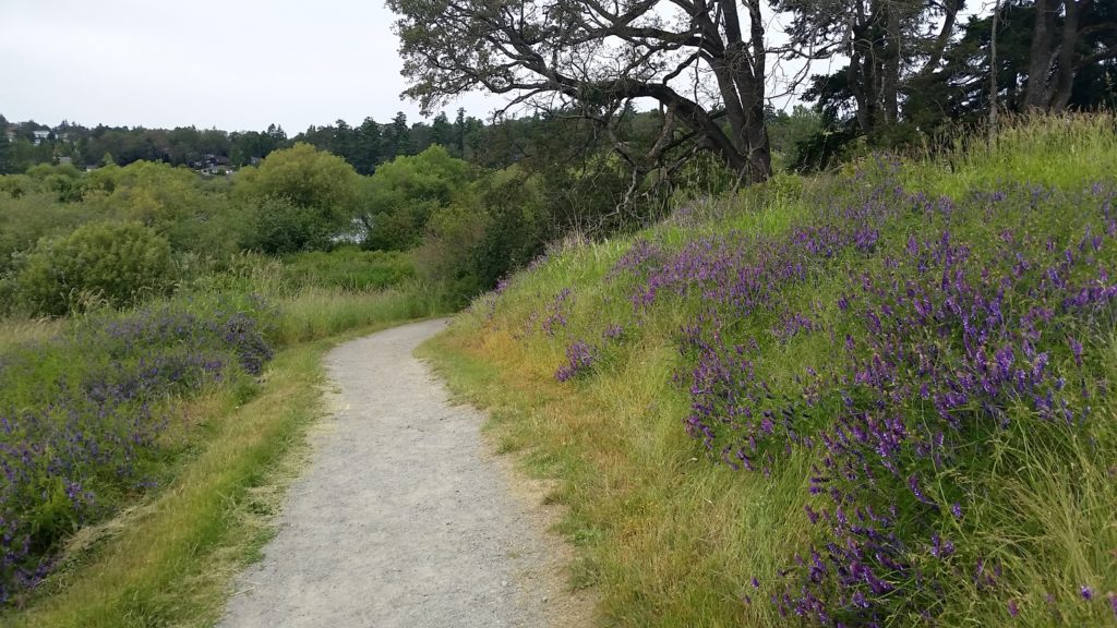 Swan Lake Nature Sanctuary