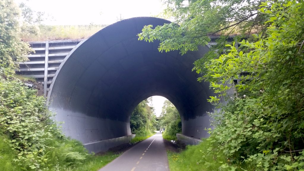 Lochside Trail by Swan Lake Nature Sanctuary