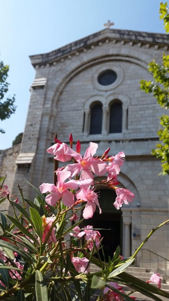 Last flowers seen in Cassis, France