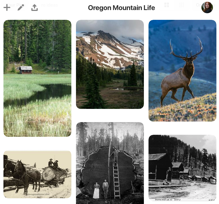 Pinterest section screenshot of "Oregon Mountain Life"